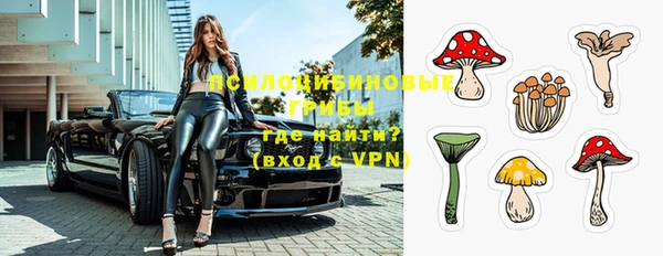 мет Новодвинск