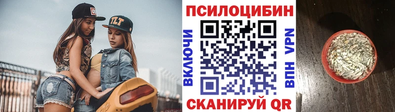 Галлюциногенные грибы мицелий  наркошоп  Кинешма 